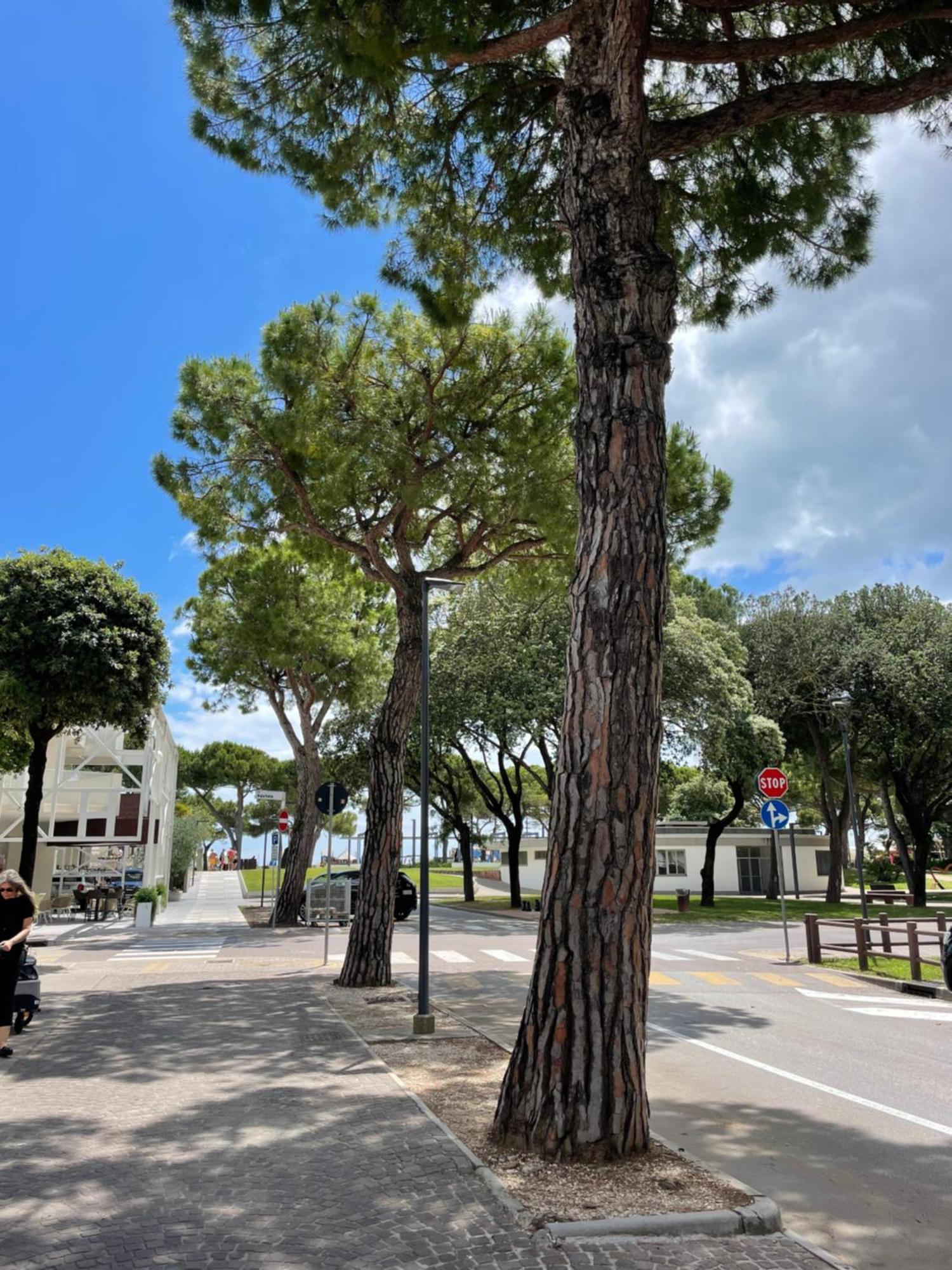 Villa Paradiso لينانو سابيادورو المظهر الخارجي الصورة